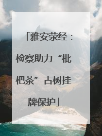 雅安荥经：检察助力“枇杷茶”古树挂牌保护