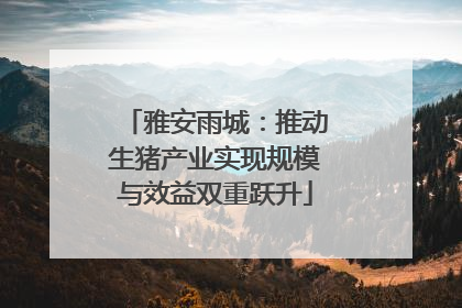 雅安雨城：推动生猪产业实现规模与效益双重跃升