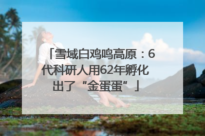 雪域白鸡鸣高原：6代科研人用62年孵化出了“金蛋蛋”