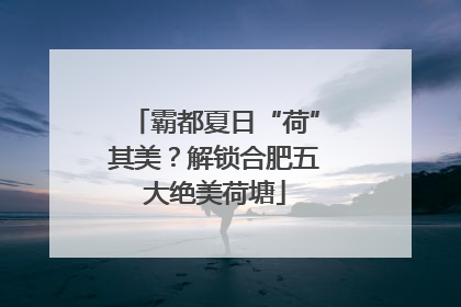 霸都夏日“荷”其美？解锁合肥五大绝美荷塘