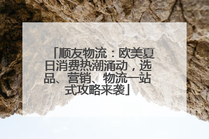 顺友物流：欧美夏日消费热潮涌动，选品、营销、物流一站式攻略来袭