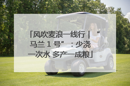 风吹麦浪一线行｜“马兰 1 号”：少浇一次水 多产一成粮