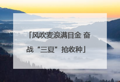 风吹麦浪满目金 奋战“三夏”抢收种