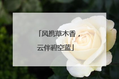 风携草木香，云伴碧空蓝