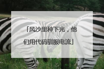 风沙里种下光，他们用代码驯服电流