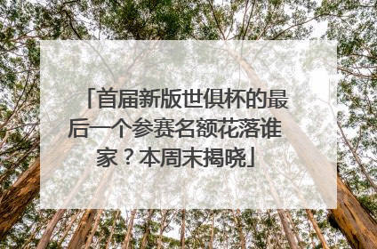 首届新版世俱杯的最后一个参赛名额花落谁家？本周末揭晓
