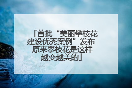 首批“美丽攀枝花建设优秀案例”发布 原来攀枝花是这样越变越美的