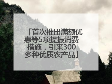 首次推出满额优惠等5项提振消费措施，引来300多种优质农产品