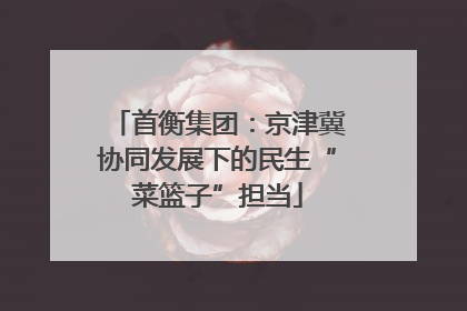 首衡集团：京津冀协同发展下的民生“菜篮子”担当