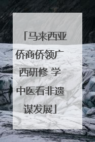 马来西亚侨商侨领广西研修 学中医看非遗谋发展