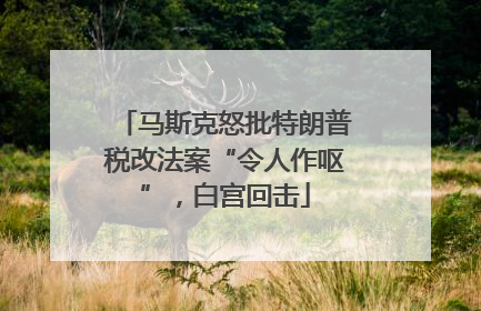 马斯克怒批特朗普税改法案“令人作呕”，白宫回击