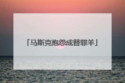 马斯克抱怨成替罪羊