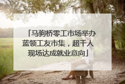 马驹桥零工市场举办蓝领工友市集，超千人现场达成就业意向