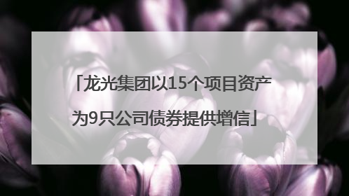 龙光集团以15个项目资产为9只公司债券提供增信