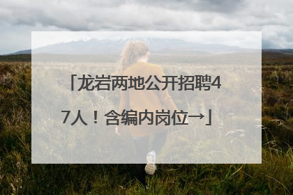 龙岩两地公开招聘47人！含编内岗位→