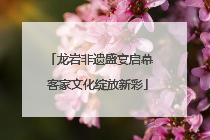 龙岩非遗盛宴启幕 客家文化绽放新彩