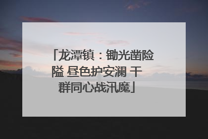 龙潭镇：锄光凿险隘 昼色护安澜 干群同心战汛魔
