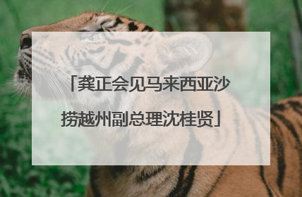 龚正会见马来西亚沙捞越州副总理沈桂贤