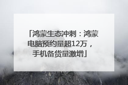 鸿蒙生态冲刺：鸿蒙电脑预约量超12万，手机备货量激增