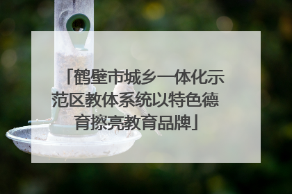 鹤壁市城乡一体化示范区教体系统以特色德育擦亮教育品牌