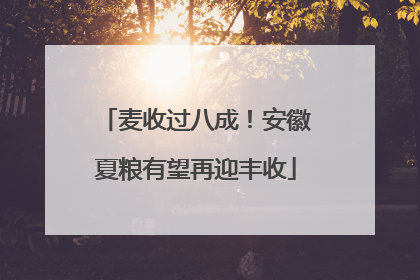 麦收过八成！安徽夏粮有望再迎丰收