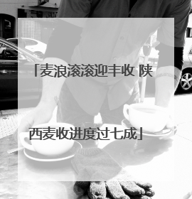 麦浪滚滚迎丰收 陕西麦收进度过七成