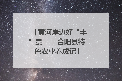 黄河岸边好“丰”景——合阳县特色农业养成记
