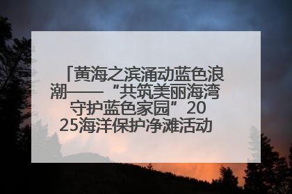 黄海之滨涌动蓝色浪潮——“共筑美丽海湾 守护蓝色家园”2025海洋保护净滩活动暨“美丽江苏—江河湖海青蓝行”海洋篇在连云港举行