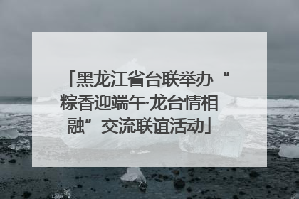 黑龙江省台联举办“粽香迎端午·龙台情相融”交流联谊活动