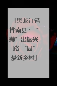 黑龙江省桦南县：“蒜”出振兴路 “园”梦新乡村
