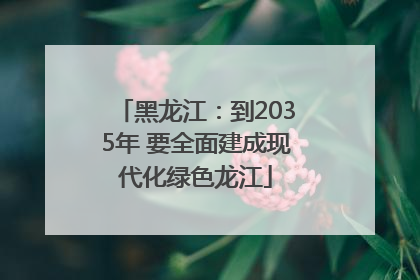 黑龙江：到2035年 要全面建成现代化绿色龙江
