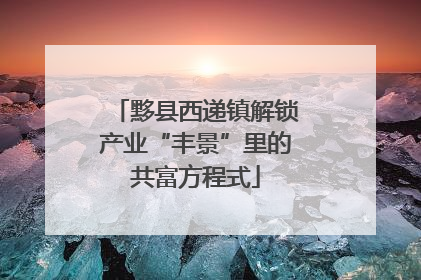 黟县西递镇解锁产业“丰景”里的共富方程式