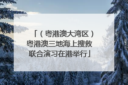 （粤港澳大湾区）粤港澳三地海上搜救联合演习在港举行