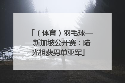 （体育）羽毛球——新加坡公开赛：陆光祖获男单亚军