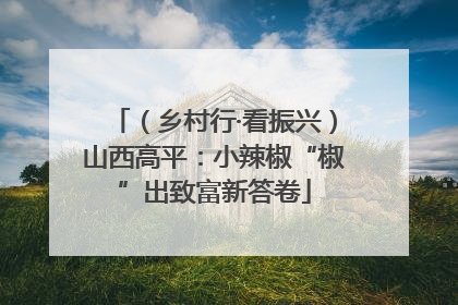 （乡村行·看振兴）山西高平：小辣椒“椒”出致富新答卷