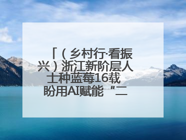 （乡村行·看振兴）浙江新阶层人士种蓝莓16载 盼用AI赋能“二次创业”