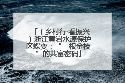 （乡村行·看振兴）浙江黄岩水源保护区蝶变：“一根金枝”的共富密码