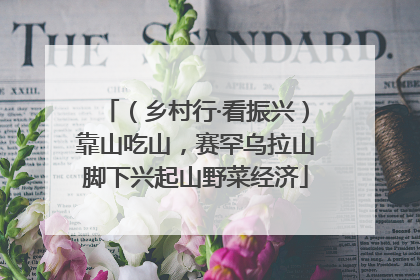 （乡村行·看振兴）靠山吃山，赛罕乌拉山脚下兴起山野菜经济