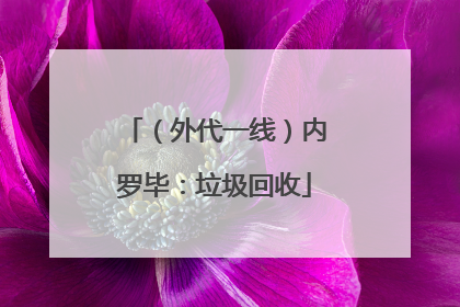 （外代一线）内罗毕：垃圾回收