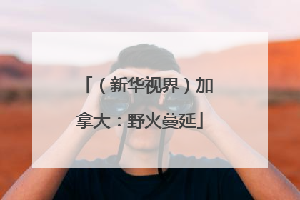 （新华视界）加拿大：野火蔓延