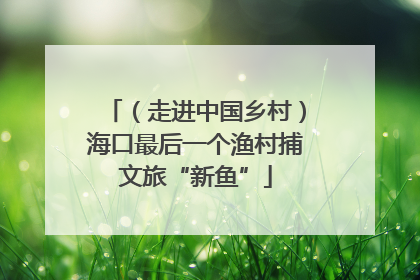 （走进中国乡村）海口最后一个渔村捕文旅“新鱼”