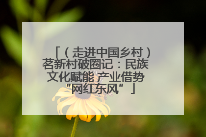 （走进中国乡村）茗新村破圈记：民族文化赋能 产业借势 “网红东风”