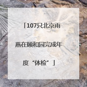 107只北京雨燕在颐和园完成年度“体检”