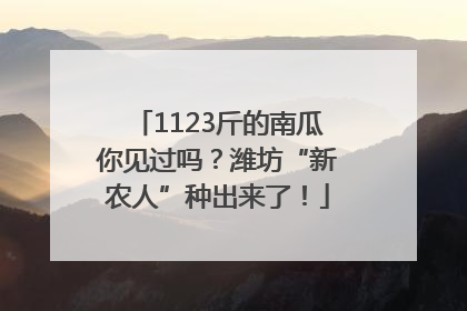 1123斤的南瓜你见过吗？潍坊“新农人”种出来了！