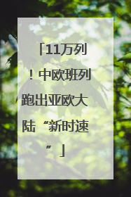 11万列！中欧班列跑出亚欧大陆“新时速”