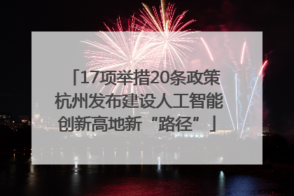 17项举措20条政策 杭州发布建设人工智能创新高地新“路径”