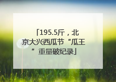 195.5斤，北京大兴西瓜节“瓜王”重量破纪录