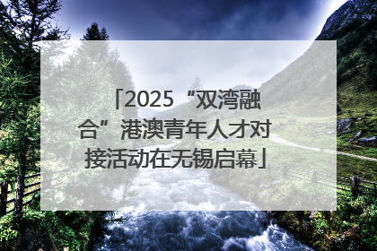 2025“双湾融合”港澳青年人才对接活动在无锡启幕