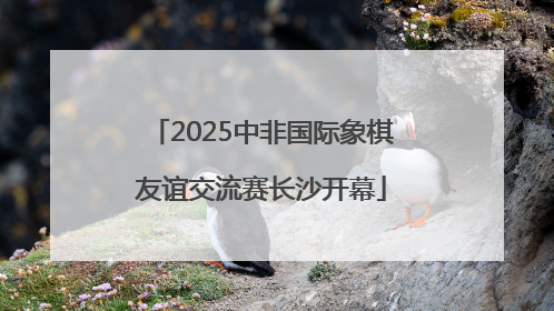 2025中非国际象棋友谊交流赛长沙开幕