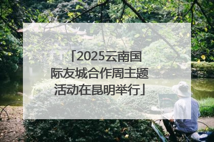 2025云南国际友城合作周主题活动在昆明举行